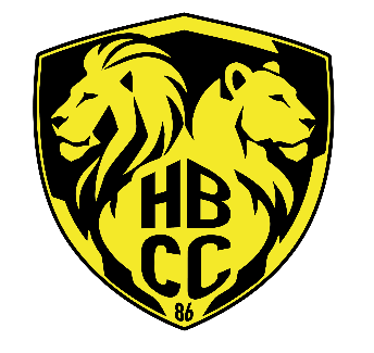 Handball Club Châtelleraudais